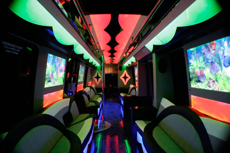 Luxury limo interior